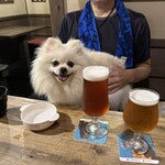 犬茶屋本舗 - 