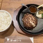津の田ミート - 料理写真:ランチ：デミグラスハンバーグステーキ