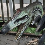 クアロア・ランチ・ハワイ カフェテリア - 