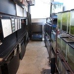 裏庭。　夜行性なので、水槽は、薄暗くしている。