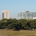 雑魚寝館 - 大和川の対岸は、大阪市立大学。