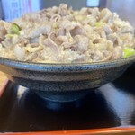 高崎ウルスタ丼 - 相当な量でした。