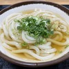 さか枝うどん 南新町店