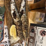 酒場ラッシー - 