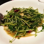 五修堂 - 豆苗のニンニク醤油炒め中（５２０円）２０１４年９月