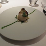 レフェルヴェソンス - 蕪の定点観測です。