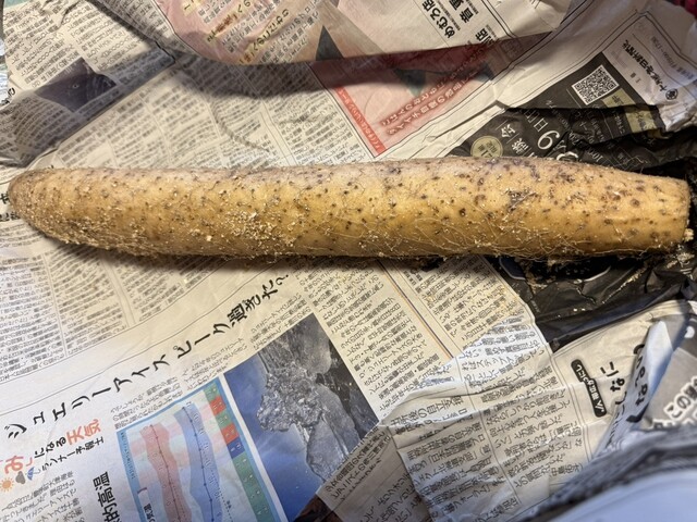 とかちむら - 帯広（その他）の写真