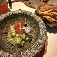 FONDA MEXICANA New York 銀座店 - 