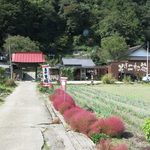 そば処 二松菴 - 