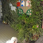 フェルミエ - 麻布十番でお散歩中・・・