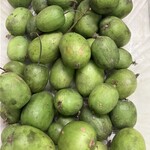 ならかわ市場 - 料理写真:さるなし
