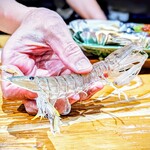 鮨匠 のむら - クリスタル蝦蛄