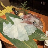 寅八商店 心斎橋店 - 泳ぎイカ