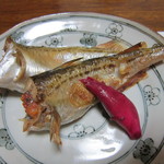 ・・・ - ハタハタ