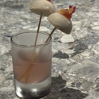 L'atelier de oto - 
