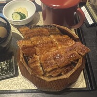 炭焼きうなぎ・かしわ 登河 - 
