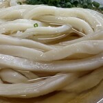 手打ちうどん こげら - 
