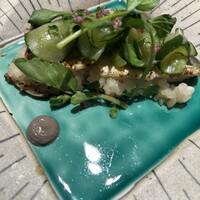 SCALAE - 