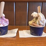 젤라테리아 지나 - 