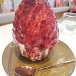 あじさいにかたつむり - 