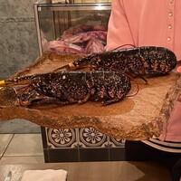 ボニュ - 