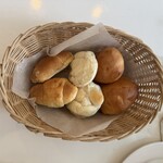 モンゴメリーブラウン - 