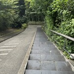 エルルカン・ビス - 