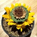 レスピラシオン - 