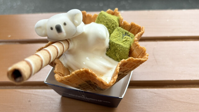 Tama Dobutsu Koen Koara Shita Shop