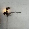 amam dacotan 表参道店