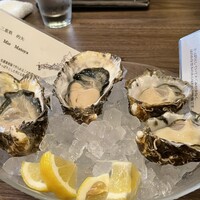 Oysterbar&Wine BELON 銀座店 - 