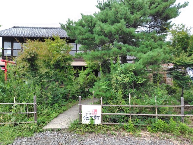初代 伝五郎 - 八木山動物公園（そば）の写真