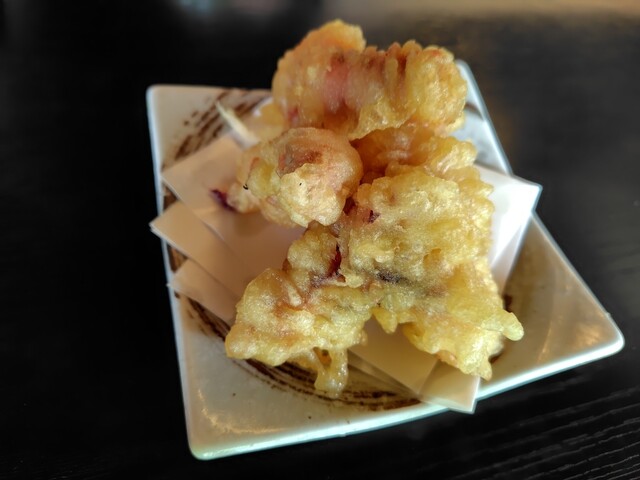 初代 伝五郎 - 八木山動物公園（そば）の写真