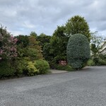 オークウッド - 