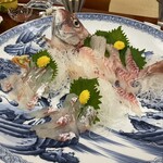 日月館 - 天然鯛姿造り