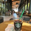 スターバックスコーヒー 浜松城公園店