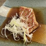 あまみの魚たち - 