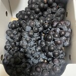 Miracle Matsuya - 1 box JPY 500!