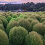 記念の森レストハウス - 