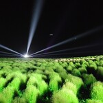 記念の森レストハウス - 