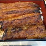 炭焼うなぎ 加茂 - よく見ると三枚重ね、普通は1.5尾と数える