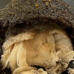メゾン フジヤ ハコダテ - イカ墨入りの衣の中はエイのホホ肉がぎっしり