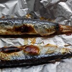 三政商店 - 本日水揚げ 生さんま