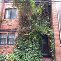 カンブーザ - 