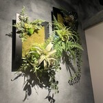 チーズとお肉 Grill Dope - 