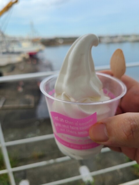 濃厚ミルクソフトクリーム、湘南みかんソフトクリーム美味。』by お