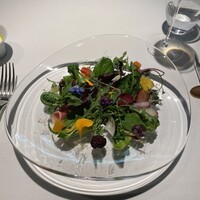 レフェルヴェソンス - 