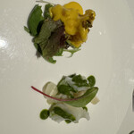 カントニーズ 燕 - 