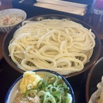 さぬきうどんのたぬき - 