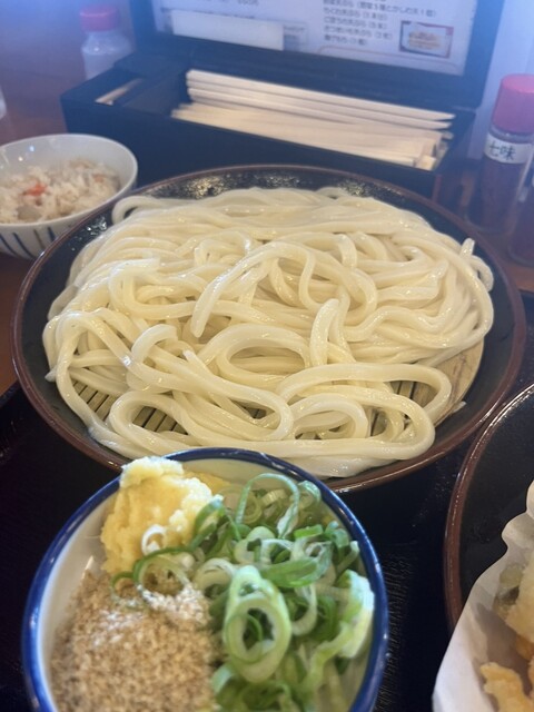 Sanuki Udon no Tanuki photo 4